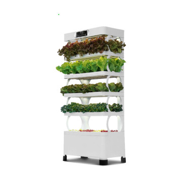 Indoor smart garden hydroponic tower with leafy greens