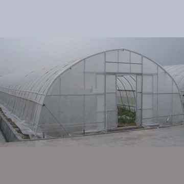 Single span tunnel film greenhouse